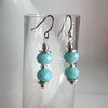 "Ice Baby" Earrings